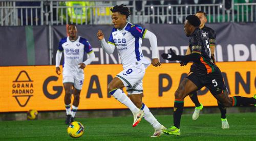 What's a Bingo Game?